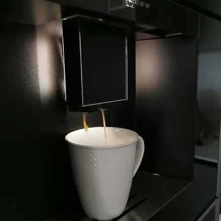 Mycasa Cbd וילנה